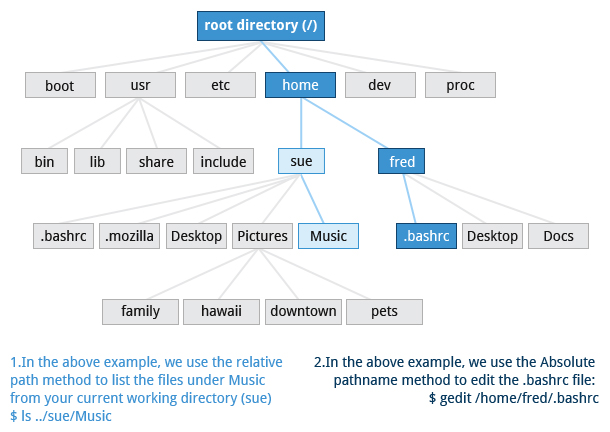 relative and absolute path
