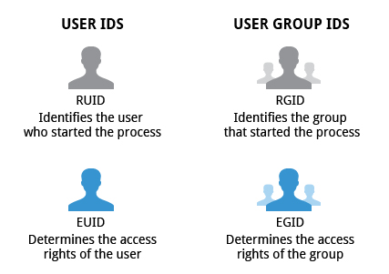 User and Group ID